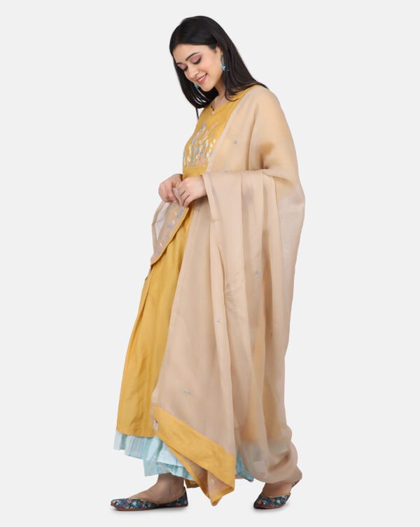 Beige Dupatta With Contrast Piping And Floral Hand Embroidery (Free Size)