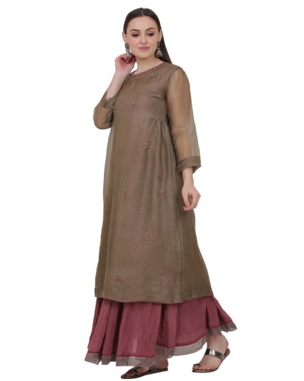 Silk Organza Hand Embroidered kurta